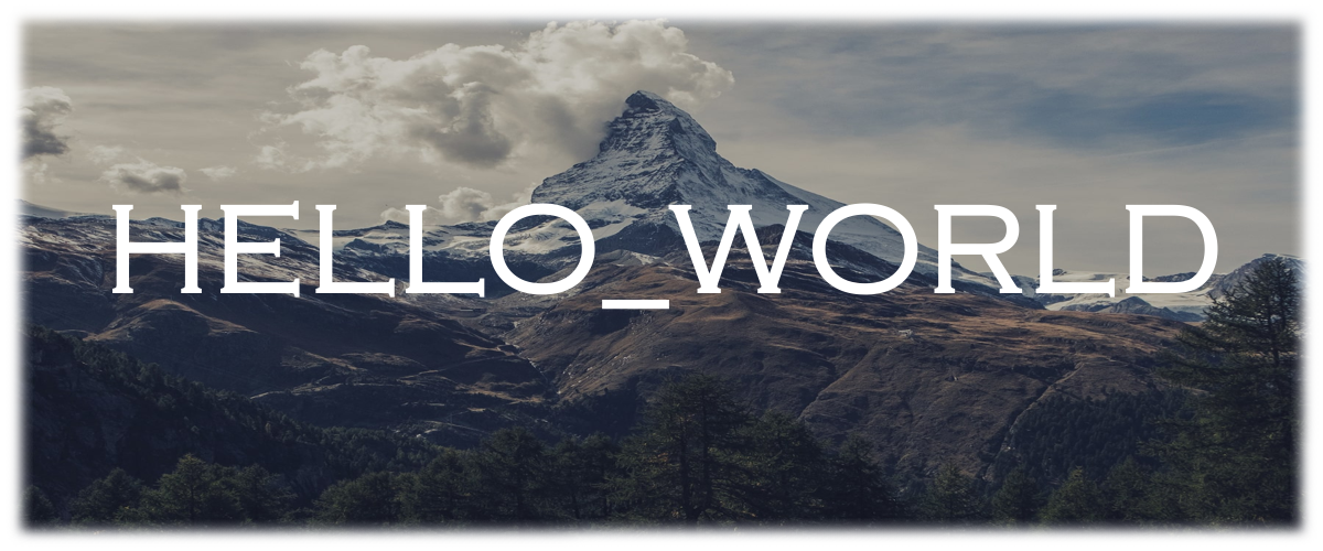 Wilm's portefolio